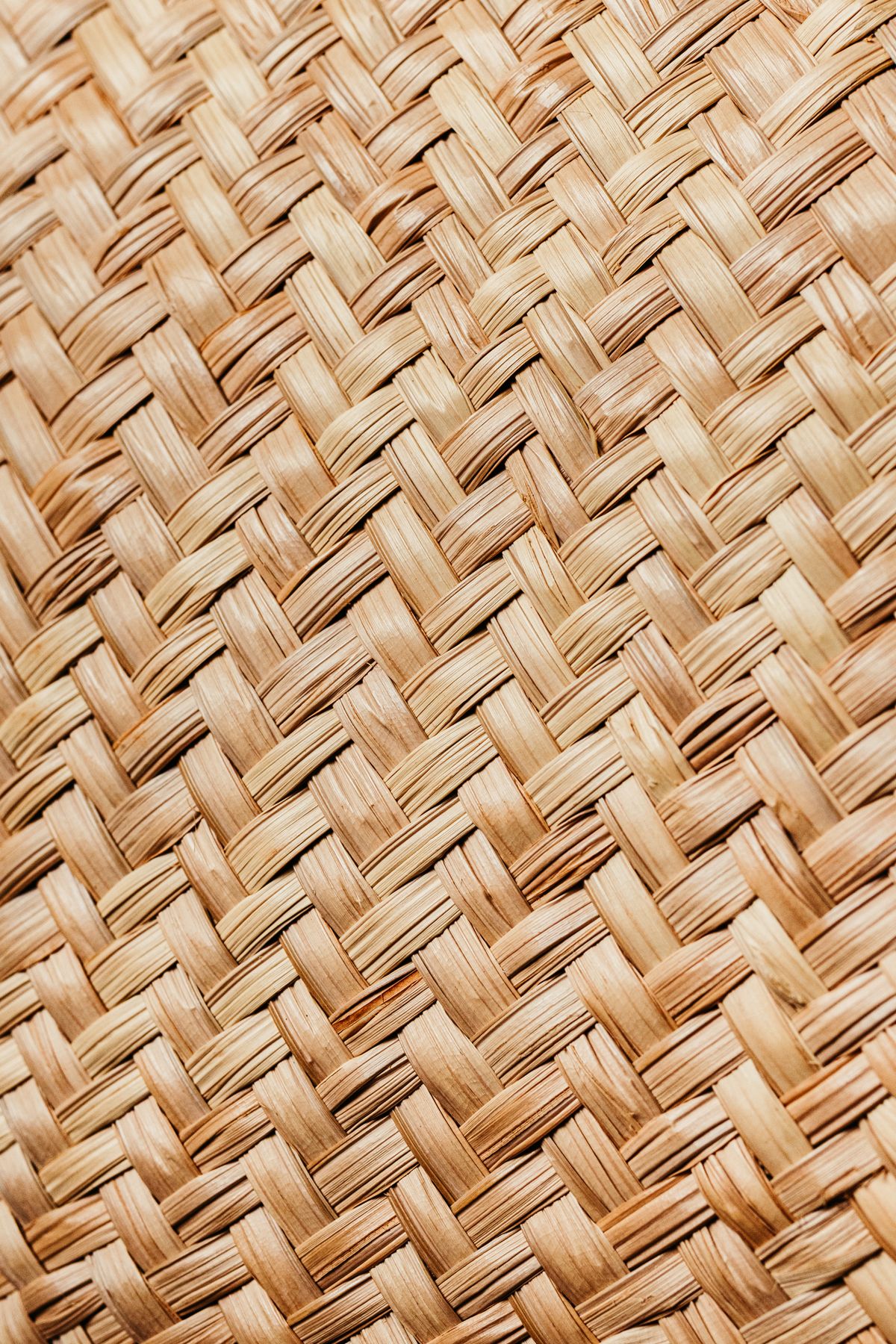 Fringed Raffia Placemats (Set of 4)